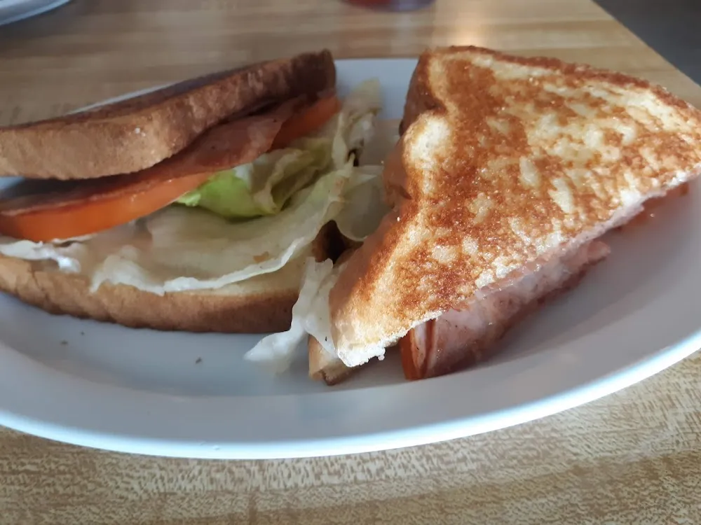 Grilled Ham and Cheese Sandwich